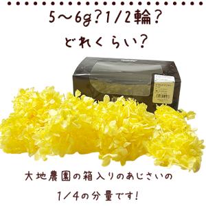 プリザーブドフラワー ハーバリウム 花材 約5...の詳細画像1