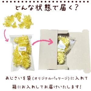 プリザーブドフラワー ハーバリウム 花材 約5...の詳細画像3