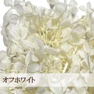 プリザーブドフラワー ハーバリウム 花材 約5...の詳細画像4