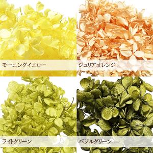 プリザーブドフラワー ハーバリウム 花材 約5...の詳細画像5