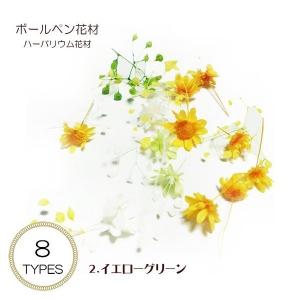 ハーバリウム ボールペン 花材 1セット入り ...の詳細画像1