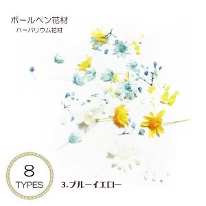 ハーバリウム ボールペン 花材 1セット入り ...の詳細画像2