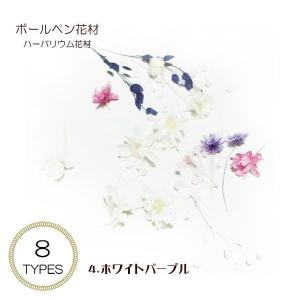 ハーバリウム ボールペン 花材 1セット入り ...の詳細画像3