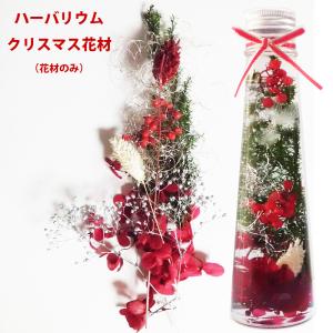 ハーバリウム クリスマス 花材 お得な2色セッ...の詳細画像1