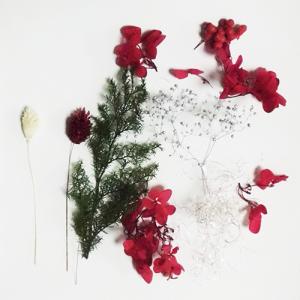 ハーバリウム クリスマス 花材 お得な2色セッ...の詳細画像3