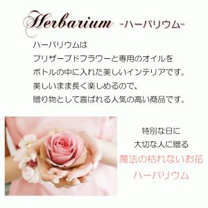 誕生日 ハーバリウム お任せ2本セット ギフト...の詳細画像2