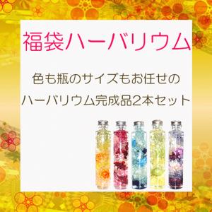 誕生日 ハーバリウム お任せ2本セット ギフト...の詳細画像3