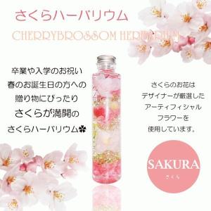 誕生日 ハーバリウム お任せ2本セット ギフト...の詳細画像4