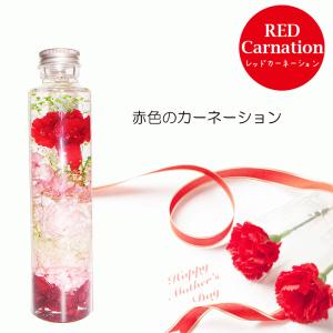 誕生日 ハーバリウム お任せ2本セット ギフト...の詳細画像5