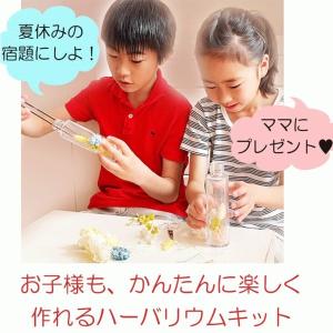 福袋 ハーバリウムキット16本の詳細画像1