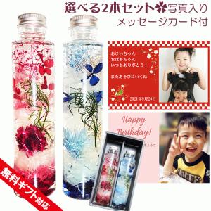 ハーバリウム ギフト クリスマス 選べる2本セッ...の商品画像