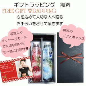ハーバリウム ギフト クリスマス 選べる2本セ...の詳細画像1