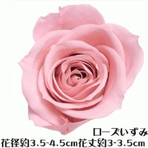 ローズ いずみ クリスタルピンク 1輪 プリザーブドフラワー バラ 花材 大地農園 ドライフラワー スモールフラワー 花材 花 Atelier memi アトリエメミ