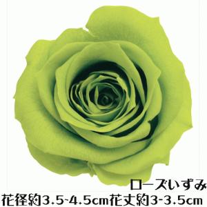 ローズ いずみ ライトグリーン 1輪 プリザーブドフラワー バラ 花材 大地農園 ドライフラワー スモールフラワー 花材 花 Atelier memi アトリエメミ