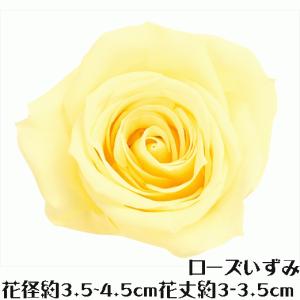 ローズ いずみ モーニングイエロー 1輪 プリザーブドフラワー バラ 花材 大地農園 ドライフラワー スモールフラワー 花材 花 Atelier memi アトリエメミ