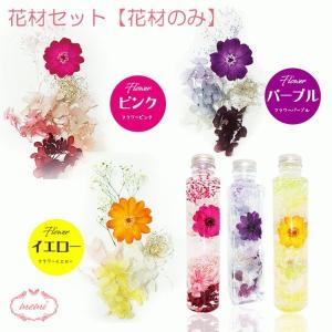 ✴︎琉球プリザモス✴︎ カラーサンプル｛パステルミックスセット ｝ハーバリウム 花材セット パステルカラフル 【 詰め合わせ ハーバリウム キット