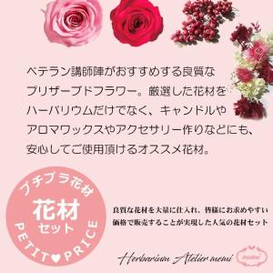 ハーバリウム フラワーシリーズ 花材セット【花...の詳細画像5