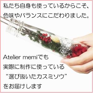 カスミソウ かすみそう 花材 プリザーブドフラ...の詳細画像3