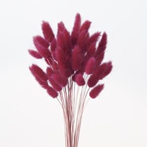 ハーバリウム 花材 ラグラス ワインレッド