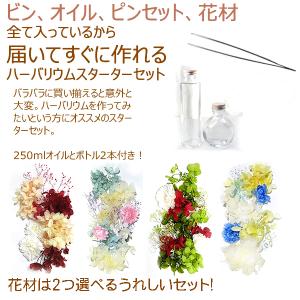 ハーバリウム 瓶 ガラス瓶 ボトル キット 手...の詳細画像1