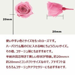 プリザーブドフラワー バラ1輪 花材 アレンジ...の詳細画像2