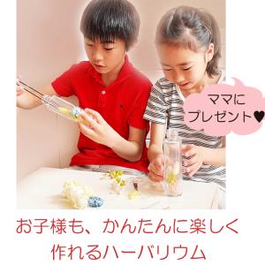 ハーバリウム 瓶 ガラス瓶 ボトル キット ハ...の詳細画像5