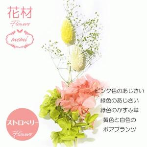 ハーバリウム 花材 フィビキアセット・ ポアプ...の詳細画像2
