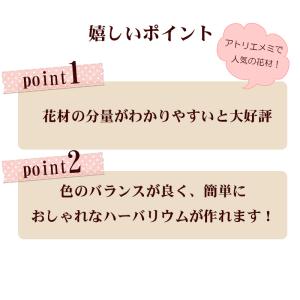 ハーバリウム 花材 セット キット 送料無料 ...の詳細画像1