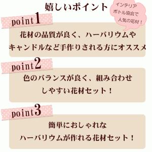 ハーバリウム 桜 さくら 花材 セット キット...の詳細画像1