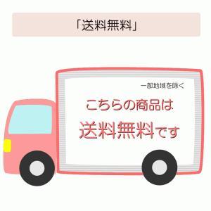 ハーバリウム 桜 さくら 花材 セット キット...の詳細画像5