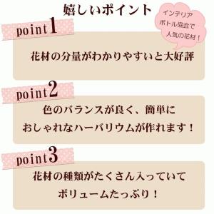 ハーバリウム お正月 花材 セット キット 送...の詳細画像1