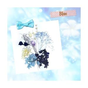 ハーバリウムキット 花材 プリザーブドフラワー...の詳細画像1