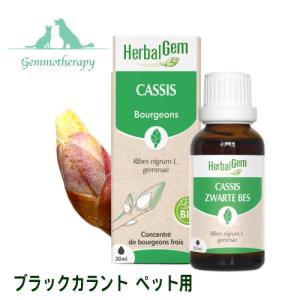 ブラックカラント 30ml ペット用サプリ