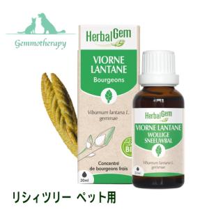 リシィツリー 30ml BIO ジェモセラピー ペット用 呼吸機能の再生サポート 猫用 犬用動物用 ハーバルジェム 新芽 正規品 未希釈 原液 リニューアル