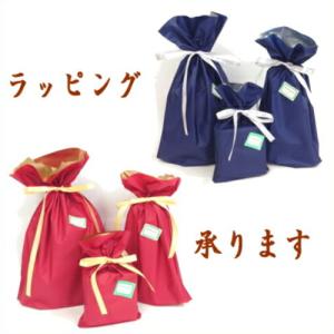 リボン付巾着バッグ 梨地 底マチ付 ギフトバッ...の詳細画像1
