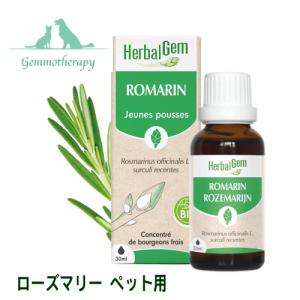 ジェモセラピー ペット用 ローズマリー BIO 30ml 胆汁分泌の促進サポート 犬用 猫用 ハーバルジェモ 正規品 動物用 チンキ Rosemary ROMARIN 正規輸入販売元