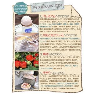 キャラクターアイスケーキ 〜恐竜ver〜 5号の詳細画像3
