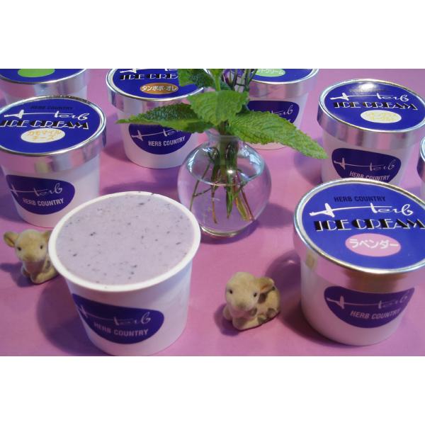 手作り  カップ アイスクリーム　ハーブ アイス セット　8個（１２０ｍｌ） お歳暮 お中元