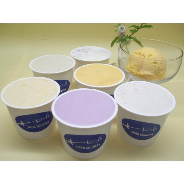 手作り カップ アイスクリーム　おすすめ アイス セット　６個（１２０ｍｌ）