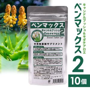 ハービスト有限会社 キャンドルブッシュ ベンマックス6P ハービスト有限会社 キャンドルブッシュ ベンマックス6P 【公式通販】