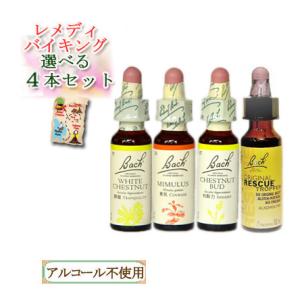 バッチフラワーレメディ・バイキング3本セット送料無料 グリセリン