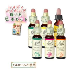 売り切り/1箱のみ/30％OFF】フラワーレメディ バッチシリーズ 40本木製