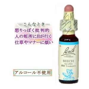 バッチフラワーレメディ 03ビーチ ノンアルコープタイプ 10ml フラワーエッセンス