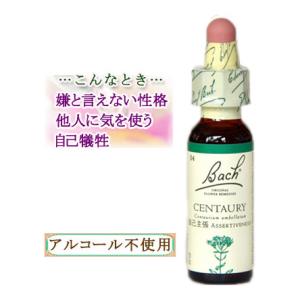 バッチフラワーレメディ 03ビーチ ノンアルコープタイプ 10ml
