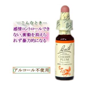 バッチフラワーレメディ 06チェリープラム ノンアルコープタイプ 10ml フラワーエッセンス