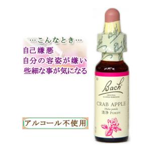 バッチフラワーレメディ 10クラブアップル ノンアルコープタイプ 10ml フラワーエッセンス