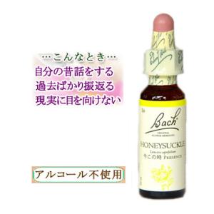 バッチフラワーレメディ 35ホワイトチェストナット ノンアルコープ