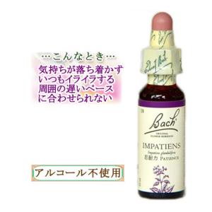 バッチフラワーレメディ 34ウォーターバイオレット ノンアルコープ