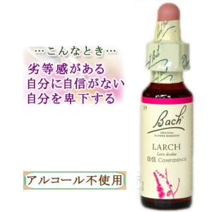 バッチフラワーレメディ 19ラーチ ノンアルコープタイプ 10ml フラワーエッセンス