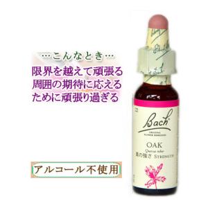 バッチフラワーレメディ 22オーク ノンアルコープタイプ 10ml フラワーエッセンス